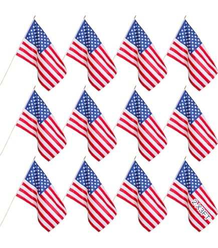 Trade Winds Lote Al Por Mayor De 6 EE.UU. 50 Línea Azul Roja Fina 12x18