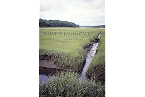 What Is Landscape?