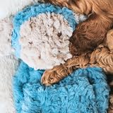 Rosewood My Dog Luxury Plush Monkey Toy Squeaker 40cm Stuff-Free view 6