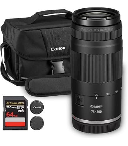 Amazon.com : Canon EF-S 55-250mm F4-5.6 is STM : Digital Slr