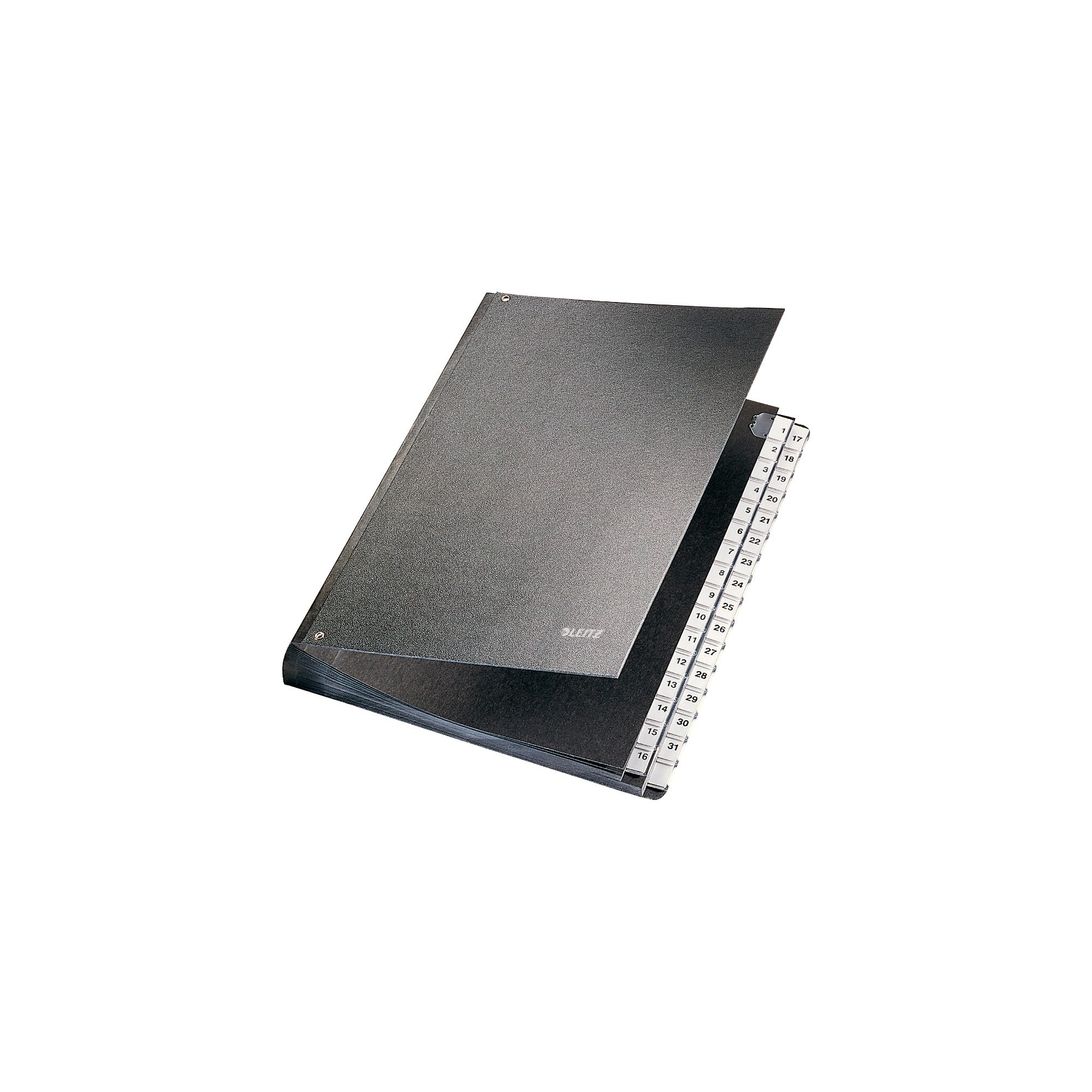 Leitz Desk Organiser 1-31, Black, 27.2 x 25 cm, 31 Holes, 31 Pieces, 45 mm
