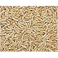 Grain Place Foods | Organic Kamut Khorasan Wheat | Single Bulk Item | 25 lb Bag