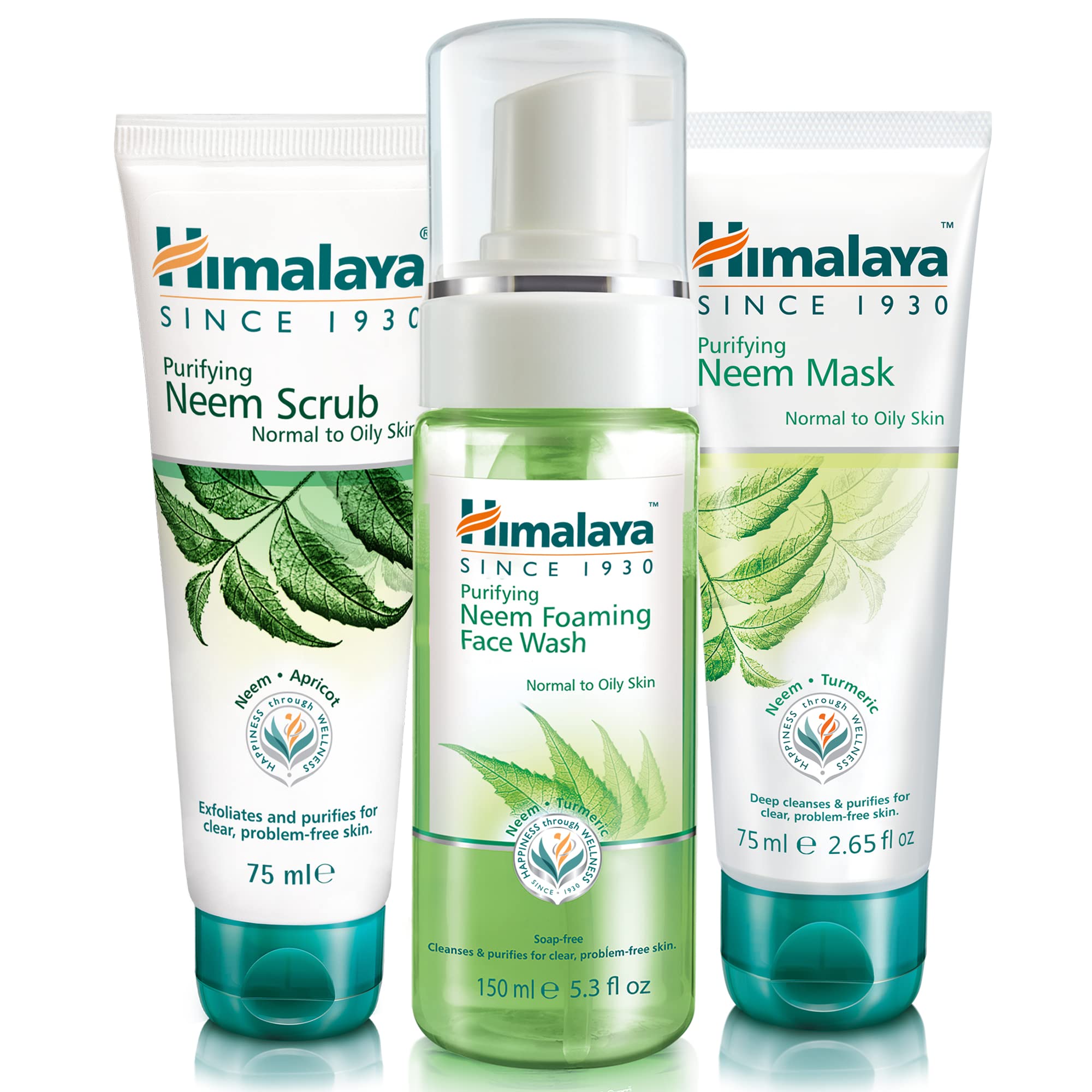 Himalaya Herbals Purifying Neem Foaming Face Wash, Face Scrub & Face Mask SET, normal and oily skin types (SET)
