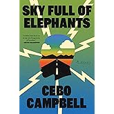 Sky Full of Elephants: A Novel