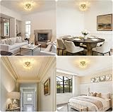 Rayofly Modern Crystal Chandelier Ceiling Light Gold 6 G9 Sockets Flush Mount view 4