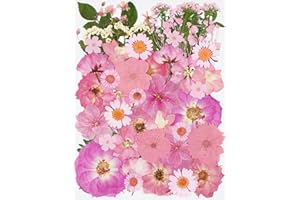 50Pcs Large Pink Dried Pressed Flowers for Crafts,Xinxinran Dry Flowers Kit for Resin Molds,Epoxy Resin Accessories,Bookmark,Nails, Jewelry Molds,Candle Making Supplies,Soap,Frame,Cakes