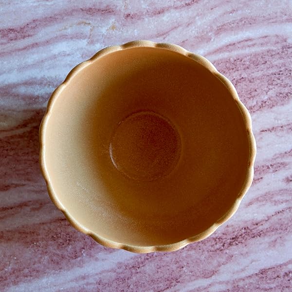 LEMIEUX ET CIE DHALIA 4-PIECE BOWL SET STONEWARE, BOWLS, DISHWASHER AND MICROWAVE SAFE, DISH SET FOR 4, CAMEL