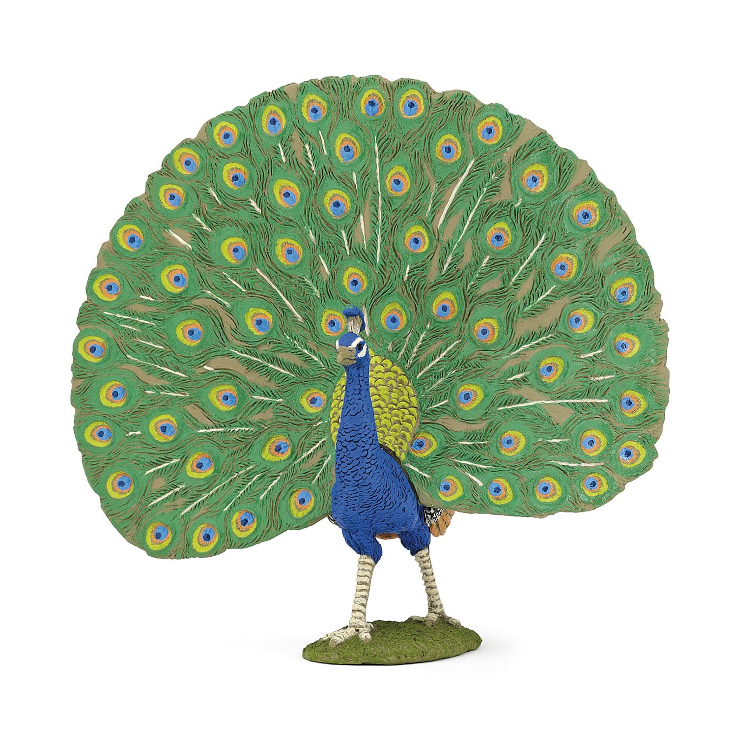 Papo - Realistic Peacock Figure Toy for Kids - Ages 3+ - Farm Life Collection - Educational Play Animal Observation - Gift Idea Toy for Girls and Boys - 12.5 Cm X 5.5 Cm X 11.6 Cm