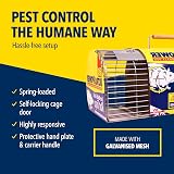 The Big Cheese Free to Go Multi-Catch Rat Cage Trap 40.8 x 17 x 16 cm view 4