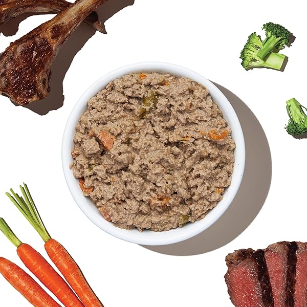 THE HONEST KITCHEN HUMAN GRADE BUTCHER BLOCK PÂTÉ WET DOG FOOD – BEEF, LAMB & SPRING VEGGIES, 10.5 OUNCE BOX (PACK OF 6)