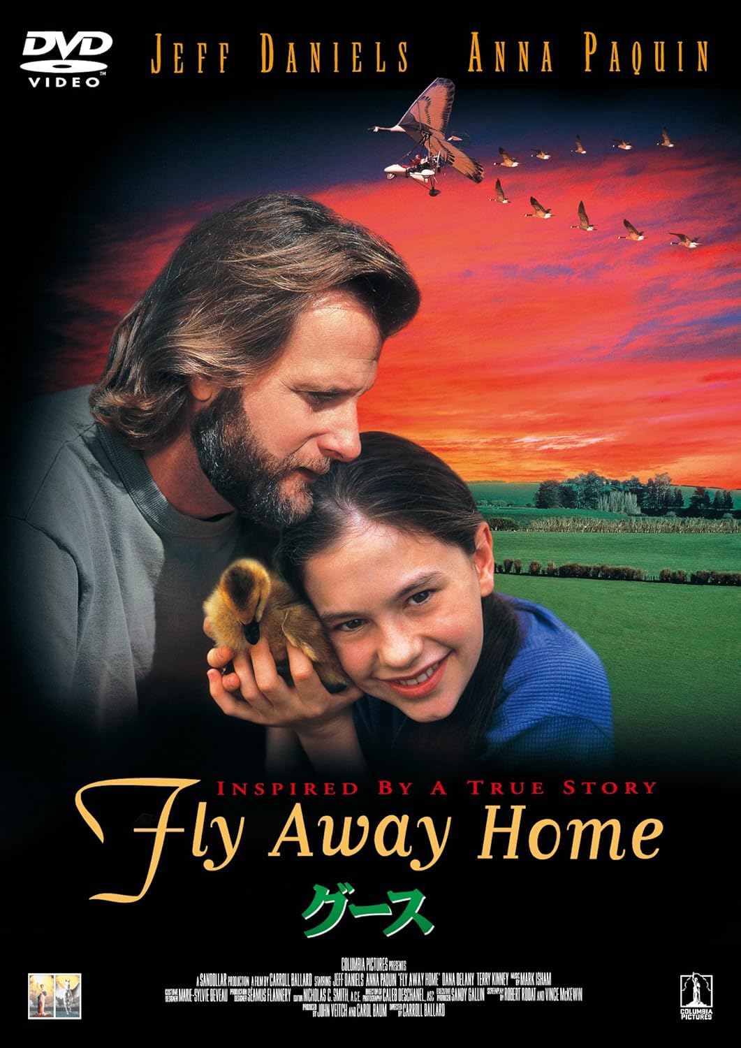 Amazon グース Dvd 映画