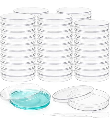 Pyrex, Petri Culture Dish, 100 X 20