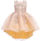 Weileenice Flower Girl Lace Bridesmaid Dress High-Low Embroidery Kids Wedding Party Birthday Tulle Dresses