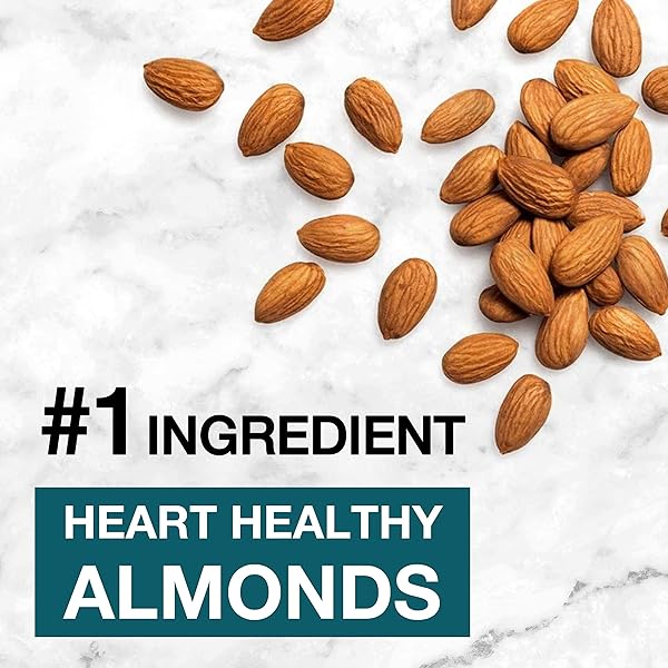 KIND NUT BARS, DARK CHOCOLATE NUTS AND SEA SALT, HEALTHY SNACKS, GLUTEN FREE, LOW SUGAR, 6G PROTEIN, 12 COUNT