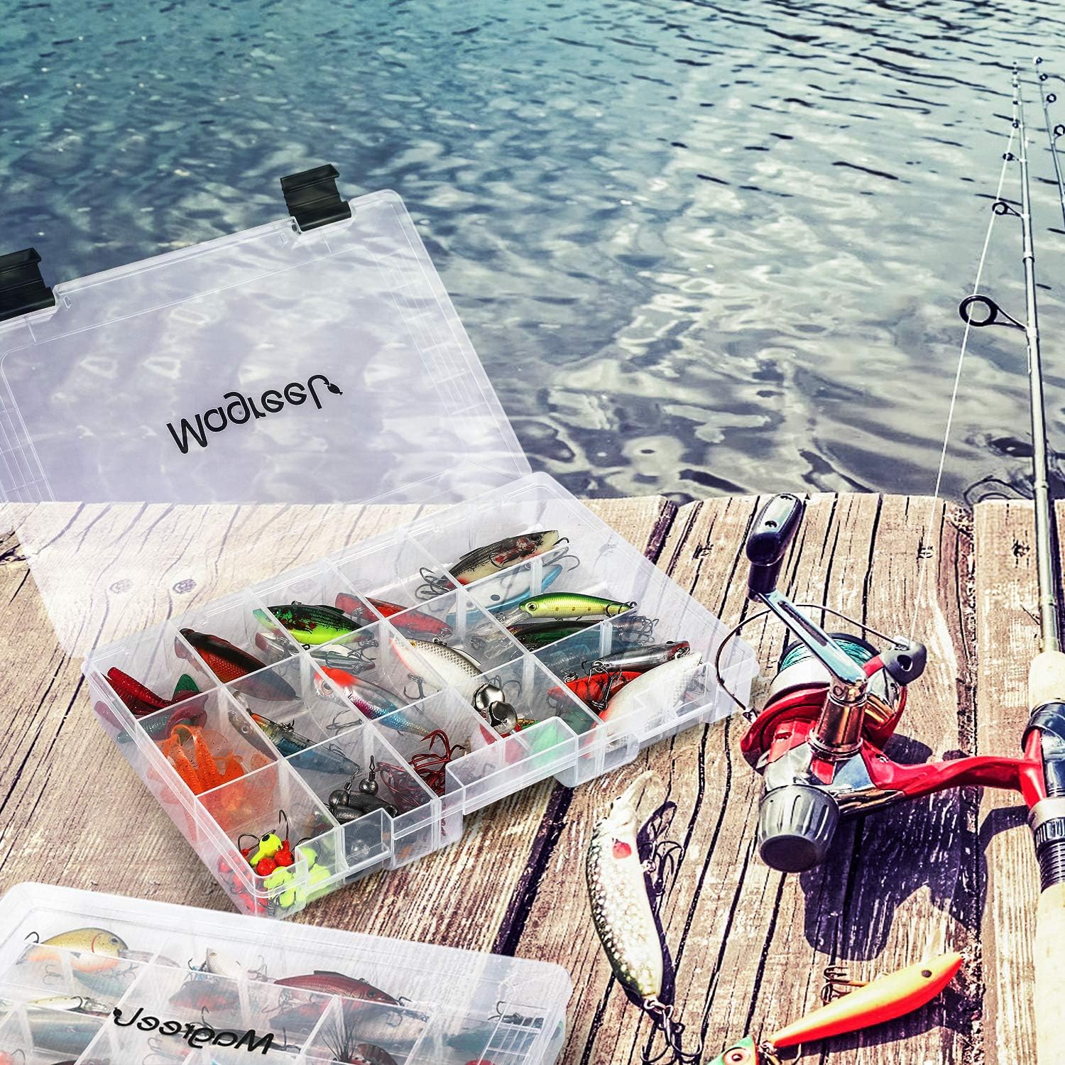 Magreel Fishing Tackle Boxes, Transparent Fish Tackle Storage with Adjustable Dividers, Waterproof Plastic Box Organizer 3600/3700 Tackle Trays, 1 Pack /3 Packs : Sports & Outdoors