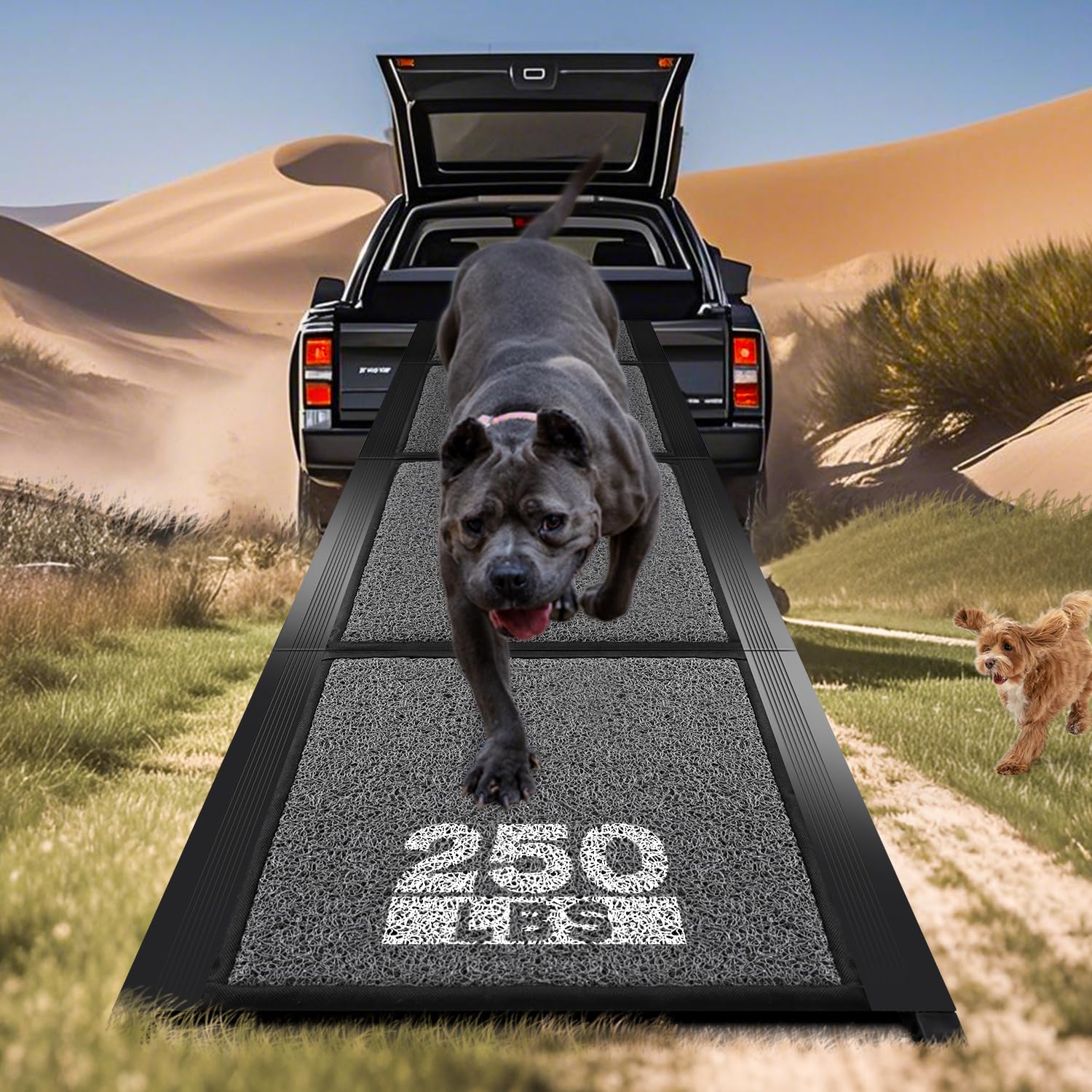 Photo 1 of **MINOR DENT/HOLE**Dog Ramp for Car, Pawlify 63" x 17.3" Dog Ramps for Large Dogs with Anti-Pinch Handle and Anti-Slip Rug Surface, Folding Dog Ramp Up to 250LBS, Portable Dogs Car Ramp for Car, SUV, Trucks