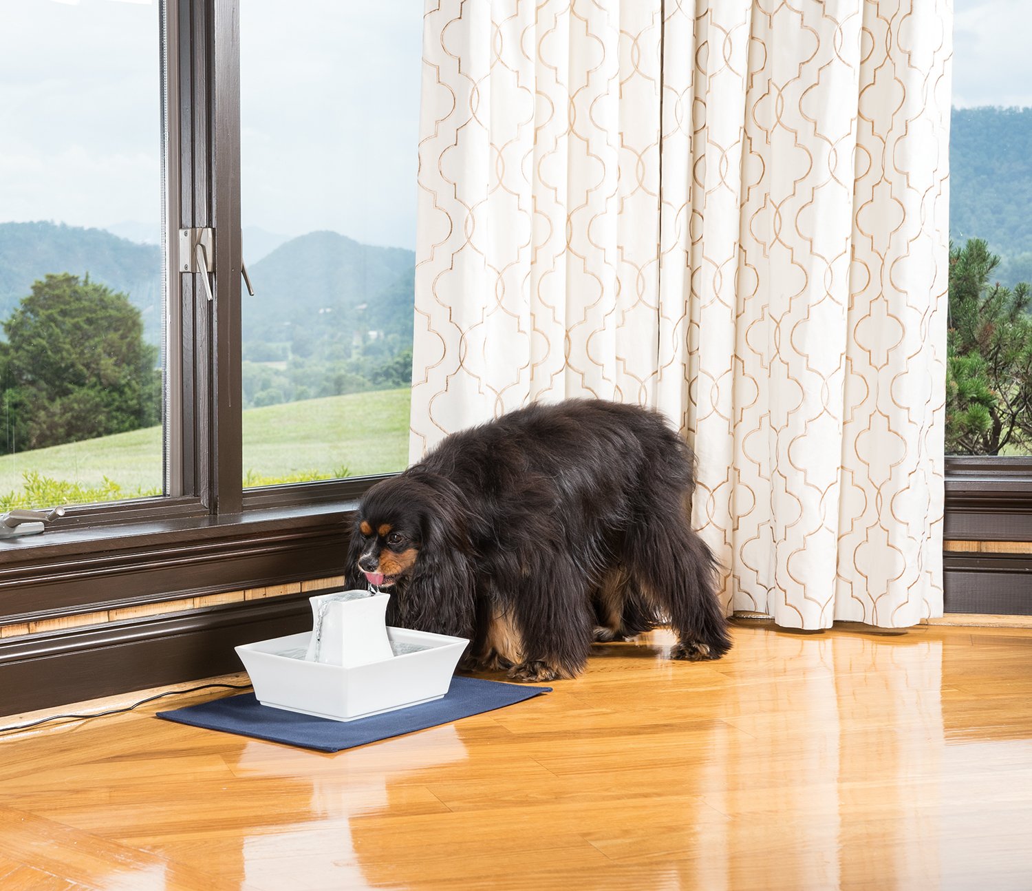 petsafe porcelain pagoda