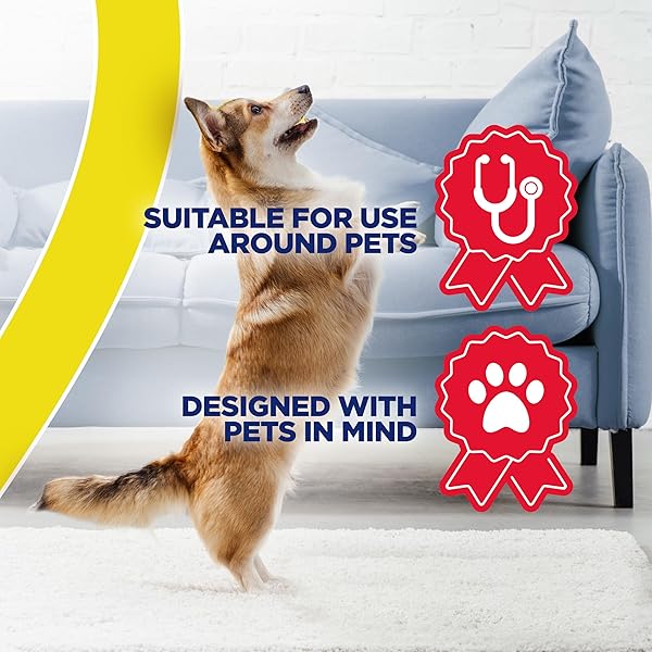 RESOLVE URINE DESTROYER SPRAY – PET STAIN AND ODOR REMOVER, CARPET CLEANER SOLUTION FOR CAT AND DOG URINE, 32 FL OZ