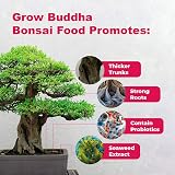 Grow Buddha Grow Buddha Bonsai Food Fertiliser 100 ml Liquid Concentrate view 2