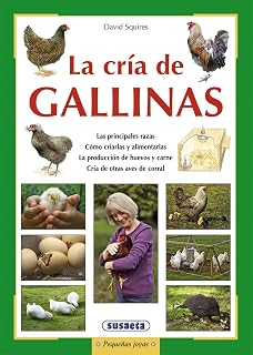 Huerto Ecologico Del Convento (Pequeñas Joyas): Amazon.es: Susaeta ...