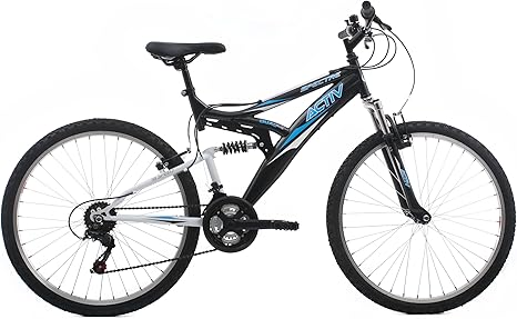 raleigh full suspension mountain bike
