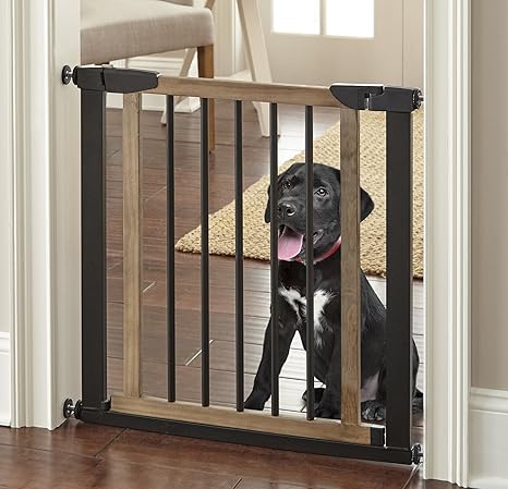 buy dog gate