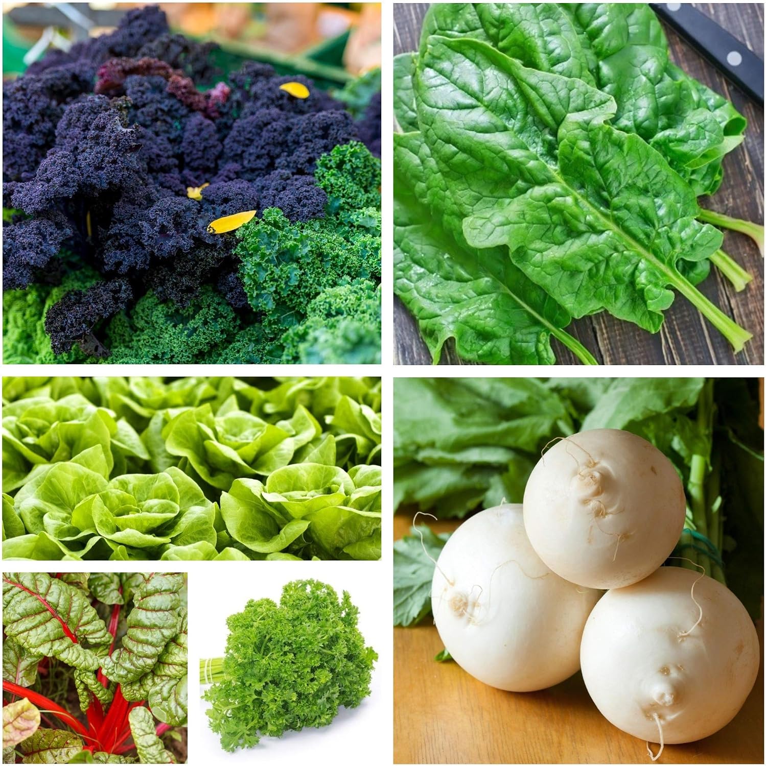 Vegetable Island 2: semillas de 6 especies vegetales responsables ...