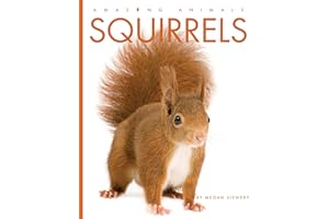 Squirrels