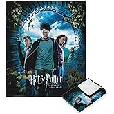 Northwest Harry Potter Silk Touch Throw Blanket, 50" x 60", Core Three