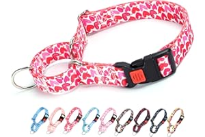 ONEFOJOJO Martingale Collar for Dogs, Pink Heart Dog Collar for Small Medium Large Dogs, Girl Dog Collars with Quick-Release Buckle for Training, Walking, Hunting (S)