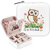 BJDAMAI Owl Jewelry Box, Gifts For Teens Girls Age 8-12, Owl Lovers Themed Stuff Items Accessories Things Merchandise Decor Merch, Travel Ring Earrings Necklace Organizer Holder!