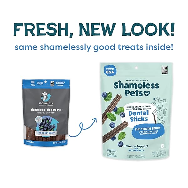 SHAMELESS PETS DENTAL TREATS FOR DOGS, THE TOOTH BERRY – HEALTHY DENTAL STICKS WITH IMMUNE SUPPORT FOR TEETH CLEANING & FRESH BREATH – FREE FROM GRAIN, CORN & SOY