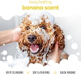 Buddycare Banana Dog Shampoo 500ml Vegan Cruelty Free Aloe Pro-Vitamin B5 view 4