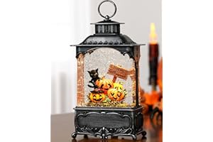 Blansong Halloween Snow Globe Lantern Halloween Decorations for Home Black Cat Ghost Pumpkin with Timer, USB and Battery Powered 10.2 inch