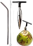Ken's CocoMon Coconut Opener Tool + Stainless Straw