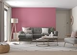 Dulux Simply Refresh Raspberry Diva Matt Emulsion Paint 1.25 L view 5