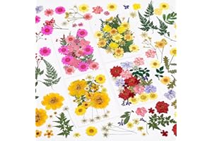 BEEBEAR-DHT Dried Pressed Flowers for Resin Scrapbooking Making Real Natural Dry Leaves Bulk Herbs Kit Assorted 4 Series Color Total 100 Pcs For DIY Art Crafts, Epoxy Resin Jewelry Molds Candle Soap Making 98 Pcs