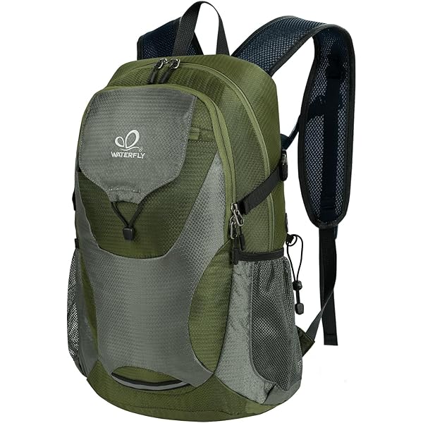 Amazon.com: Eddie Bauer Stowaway Packable Backpack | Travel