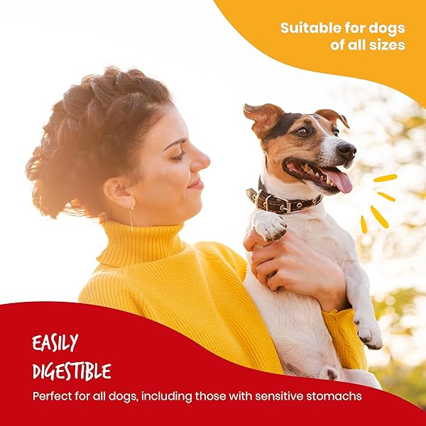 BEEFEATERS BEEFHIDE KABOBS 12OZ – DOG TREAT. TRIPLE FLAVOR WITH REAL CHICKEN, LIVER & SWEET POTATO, LONG-LASTING CHEW, SUPPORTS DENTAL HEALTH, IDEAL FOR TRAINING