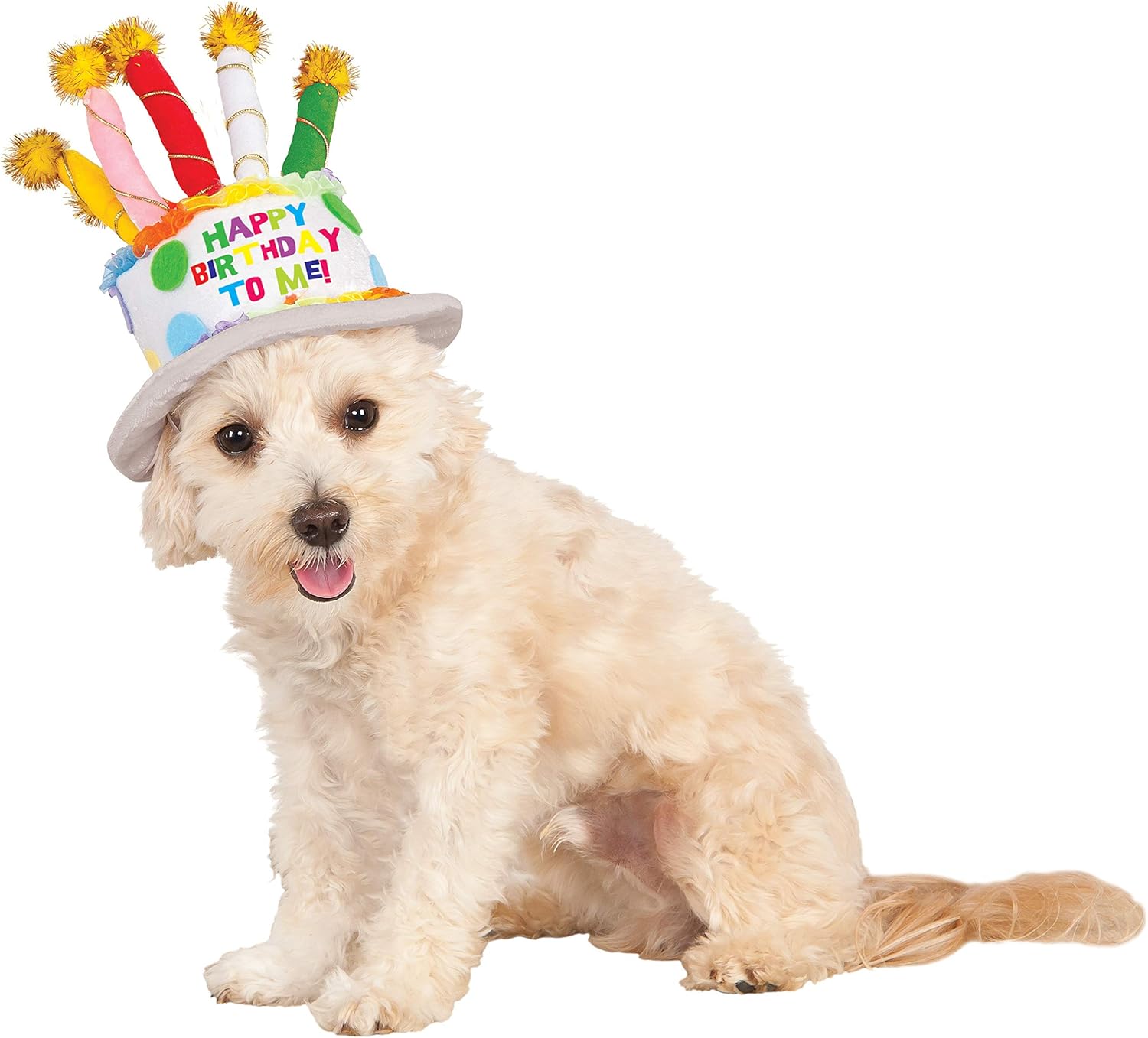 Dog birthday cake hat Outlet