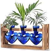 Lifecapido Heart Shaped Propagation Stations, Plant Terrarium with Wooden Stand, Plant Propagation Station for Hydroponics Plants Office Garden Home Decor, Gifts for Women Plant Lover (3 Vases, Blue)