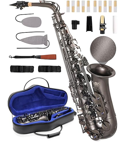 Amazon.com: Aiollns JAS-802 Alto Saxophone E Flat Black Color