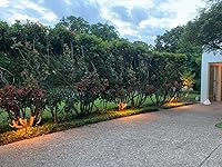 Review Image by Amazon Customer Amazon Customer