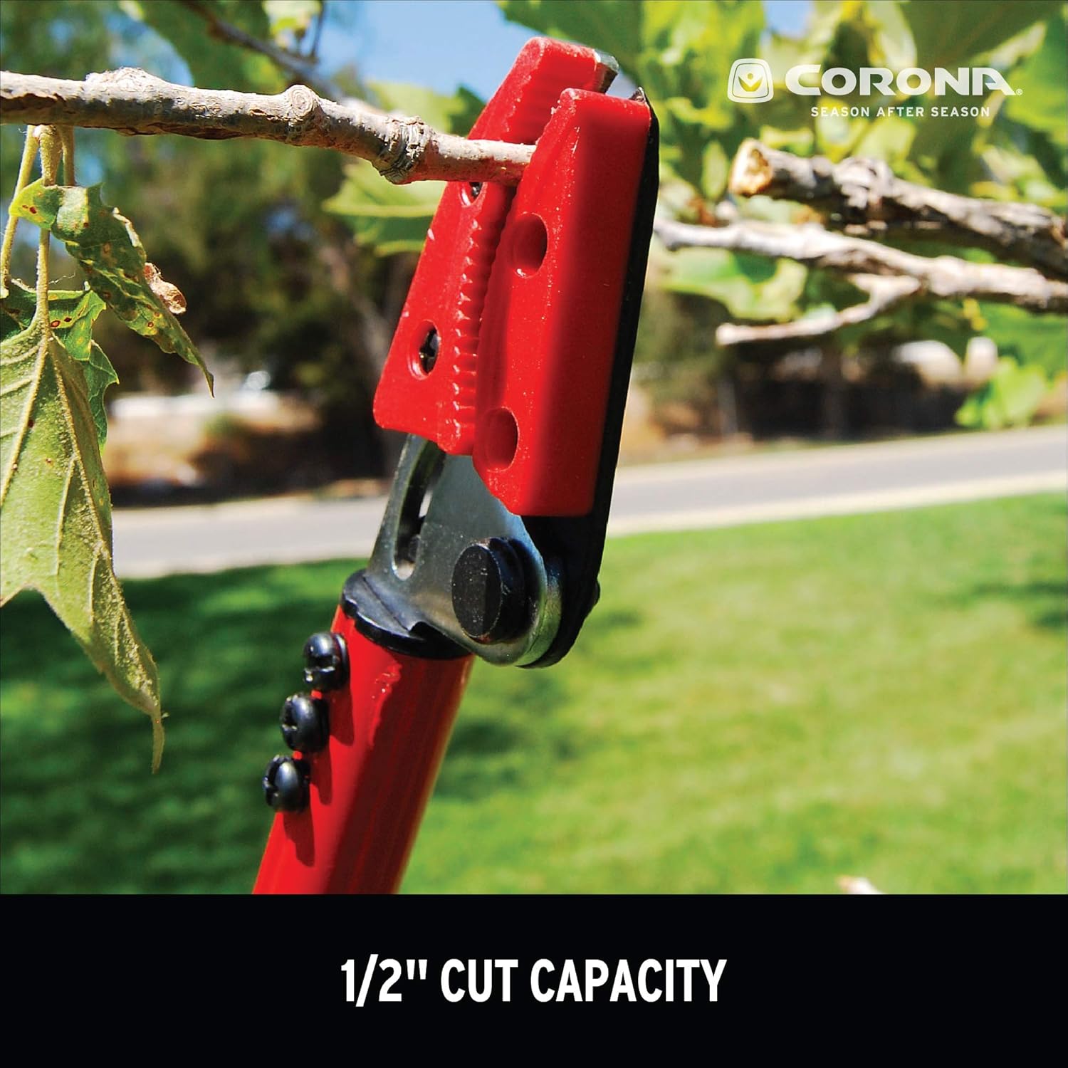 Corona LR 3460 Long Reach Cut 'n' Hold Pruner, 46-Inch, Red: Garden & Outdoor