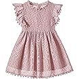 Niyage Toddler Girls Elegant Lace Pom Pom Flutter Sleeve Party Princess Dress