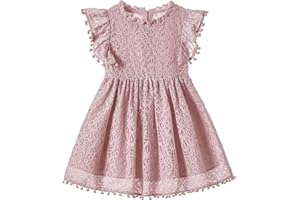 Niyage Toddler Girls Elegant Lace Pom Pom Flutter Sleeve Party Princess Dress