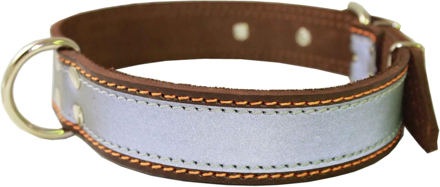 Wide reflective dog collars Clearance