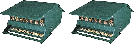 Amazon Com Heritage Farms Audubon Bird S Delight Squirrel