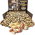 CHAIN & JO SWEETS Peanuts for Squirrels – Roasted Unsalted Peanuts in Shell Bulk 10LB Approx 2,000 Pieces – Ideal Food for Birds, Squirrels & Humans