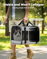pecute Pet Carrier Bag Cat Carrier Handbag Portable Dog Travel Breathable Mesh view 4